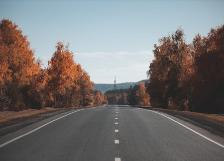 Empty country road in autumn.の写真素材