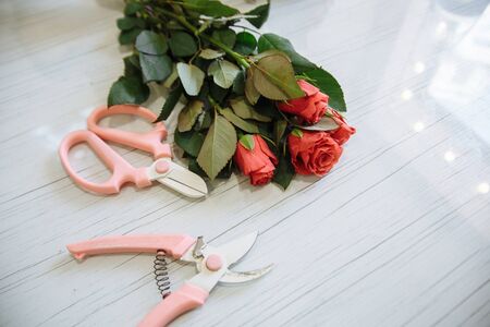 red roses with florist scissors lie in a flower shopの写真素材