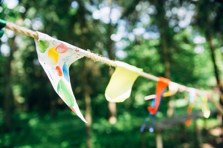 color party birthday flags in green forestの写真素材