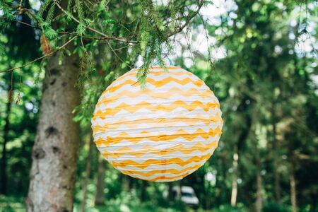 color party birthday flags in green forestの写真素材