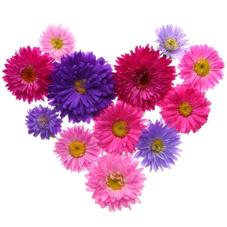 Heart shape made of various blossom asters flowers isolated on white backgroundの写真素材