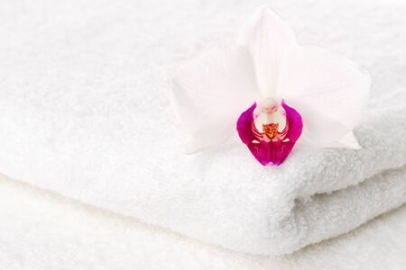 White orchid flower on white spa towel の写真素材