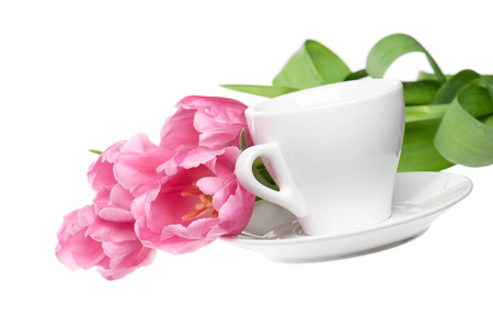 Tulips bouquet with white cup isolated on white.の写真素材