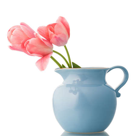 Pink tulips in a blue pitcher isolated on white.の写真素材