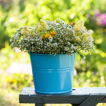 Bucket with wildflowers on the bench outdoors.の写真素材