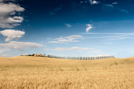 Wheat meadow with beatiful dramatic sky and farmhouse in the distance. Tuscan landscape, Italy.の写真素材