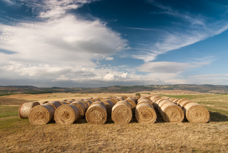 A row of hay bales on a field after havest with blue cloudy sky. Location: near Siena, Tuskany, Italy.の写真素材