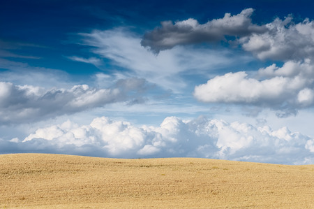 Wheat meadow with beatiful dramatic sky. Tuscan landscape, Italy.の写真素材