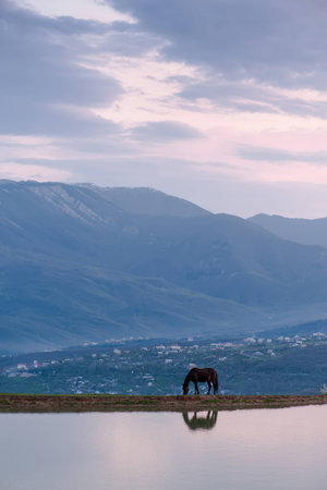 Grazing horse near lake On the background peaks of the Crimean mountainsの写真素材