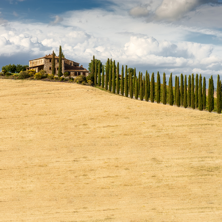 Farmhouse and cypress trees background (Tuscany, Italy).の写真素材