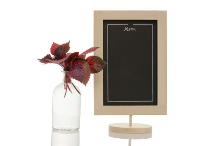 Bunch of purple basil in vase with water to keep it fresh for later use, isolated on white background.の写真素材