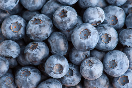 Blueberry texture background photographed from above.の写真素材