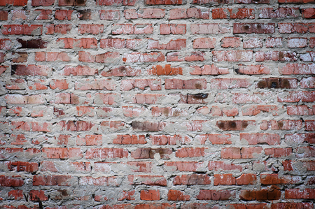 Weathered grunge brick wall texture with vignette
.の写真素材