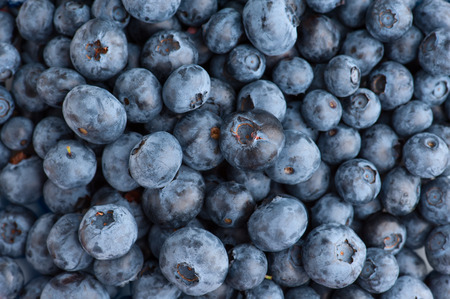 Blueberry texture background photographed from above.の写真素材