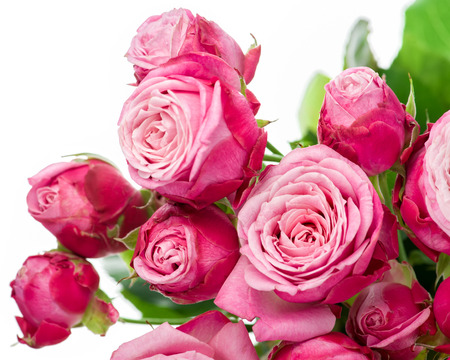 Pink roses bouquet isolated on white backgroundの写真素材