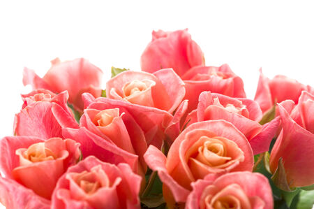 Pink roses bouquet isolated on white background, close-up view.の写真素材