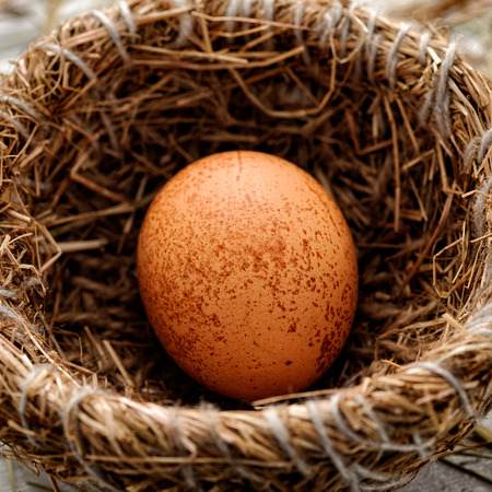 Brown egg in a nest, close-upの写真素材
