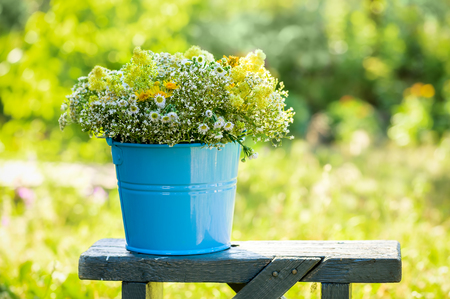 Bucket with wildflowers on the bench outdoors.の写真素材