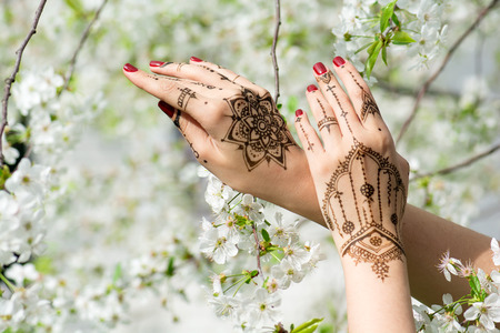 Red manicured hands with Mehndi in spring cherry blossom, Indian tradition.の写真素材
