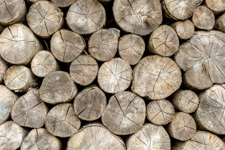 Pile of wood logs ready for winter. Wood texture background.