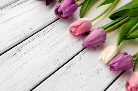 Beautiful multicolored tulips on wooden background. Top view, copy space. Space for text, copy, lettering. Postcard template.の写真素材