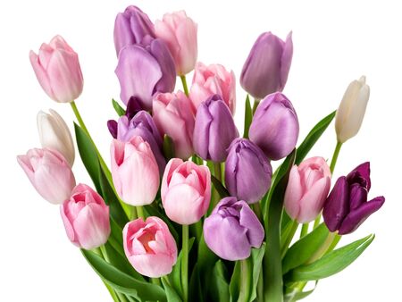 Colorful tulips flowers bouquet close up isolated on white backgroundの写真素材