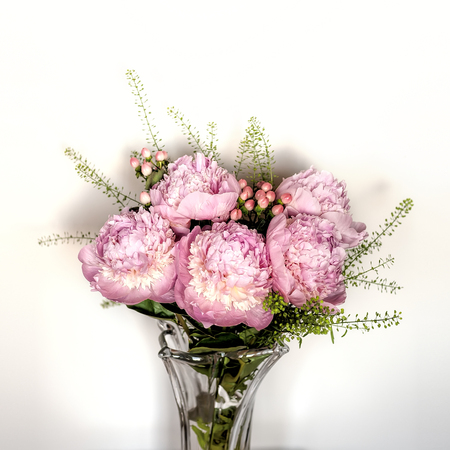 Bunch of pink peonies in glass vase on white background.の写真素材