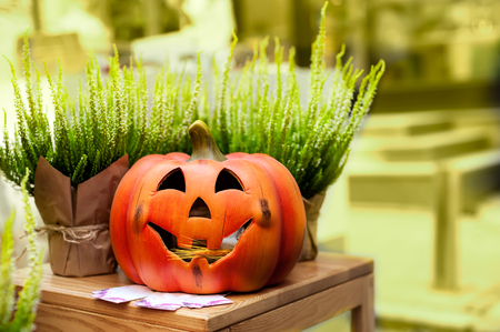 Halloween pumpkin and plants in flower pots. Fall decoration. Halloween celebration concept. Yellow colored copy space.の写真素材