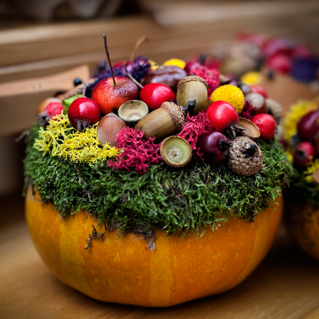 Halloween pumkin used as a vase for floristic composition. Fall natural decoration. Square composition.の写真素材