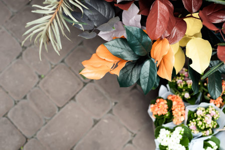Closeup of a small street flower shop with sidewalk background. Decorative colored autumn leaves for sale over paving slab background.の写真素材