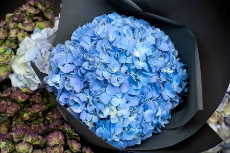 Hydrangea. Hydrangea macrophylla. A bouquet of beautiful blue hydrangea flower close-up. A shelf in a flower shop. Top view.の写真素材