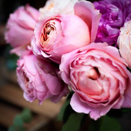 A close-up of beautiful colorful pink rose bouquet, valentine romantic bunch of fresh rose flowers. Square natural holiday rose background, shallow DOF.の写真素材