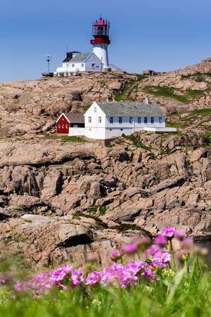 The World famous Lindesnes Fyr Lighthouse on most southern point of Norway staying on the cliff with pink flowers on foreground, South Norway, Lindesnes Fyr beacon.の写真素材