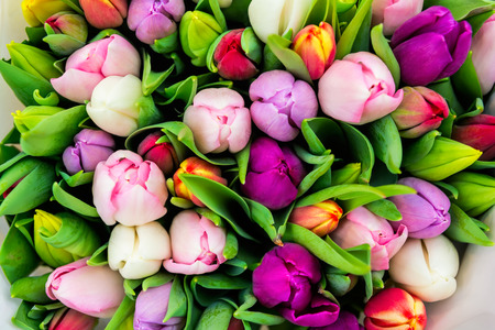 Bouquet of fresh spring tulip flowers, top view. Beautiful bouquet of tulips in spring. Amsterdam flower market.の写真素材