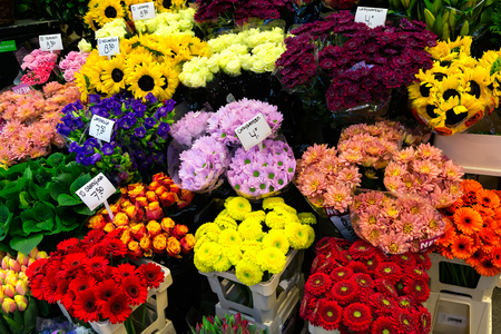 AMSTERDAM, NETHERLANDS - APRIL 9, 2018: Colorful chrysanthemums on sale in Amsterdam flower market.This Flower Market is the only floating flower market in the world and place of interest of Amsterdamの写真素材