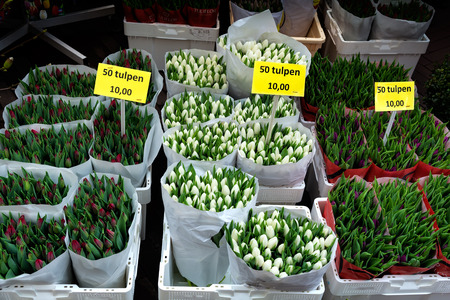 AMSTERDAM, NETHERLANDS - APRIL 9, 2018: Colorful tulips on sale in Amsterdam flower market. This Flower Market is the only floating flower market in the world, and place of interest of Amsterdam.の写真素材