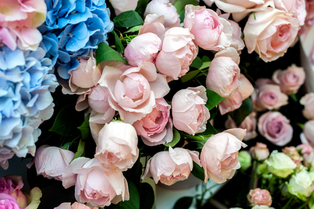 A close-up of beautiful colorful pink rose bouquet, valentine romantic bunch of fresh rose flowers. Square natural holiday rose background, shallow DOF.の写真素材