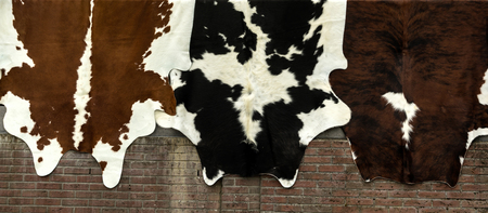 Natural cow skin are sold in the local market. Textured background, panoramic composition.の写真素材