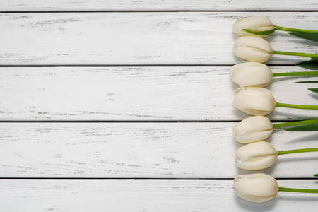 Beautiful tulips on white wooden background. Top view, copy space. Space for text. Postcard template.の写真素材