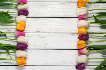 Beautiful multicolored tulips with green leaves on white wooden background. Top view, copy space. Space for text. Postcard template. Spring flowers concept. Happy Mother's, Valentine's day.の写真素材