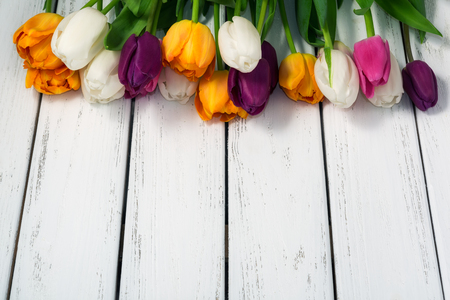 Beautiful multicolored tulips on white wooden background. Top view, copy space. Space for text. Postcard template. Spring flowers concept. Happy Mother's, Valentine's, International Women's day.の写真素材