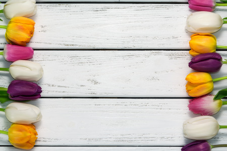 Beautiful multicolored tulips on white wooden background. Top view, copy space. Space for text. Postcard template. Spring flowers concept. Happy Mother's, Valentine's, International Women's day.の写真素材