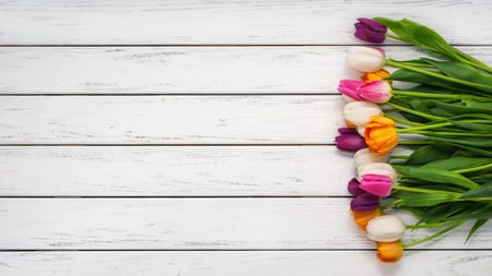 Beautiful multicolored tulips on white wooden background. Top view, copy space. Space for text. Postcard template. Spring flowers concept. Happy Mother's, Valentine's, International Women's day.の写真素材
