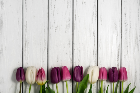Beautiful multicolored tulips on white wooden background. Top view, copy space. Space for text. Postcard template. Spring flowers concept. Happy Mother's, Valentine's, International Women's day.の写真素材