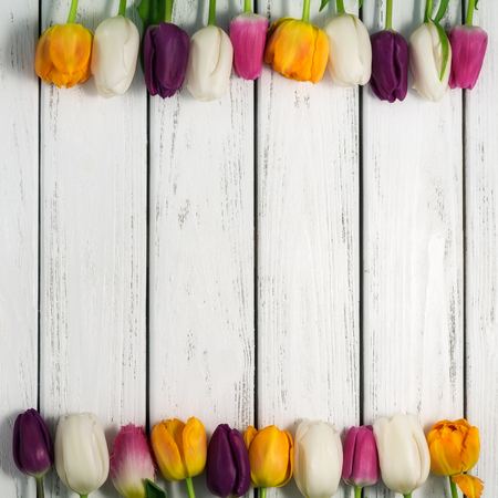 Beautiful multicolored tulips on white wooden background. Top view, copy space. Space for text. Postcard template. Spring flowers concept. Happy Mother's, Valentine's, International Women's day.の写真素材