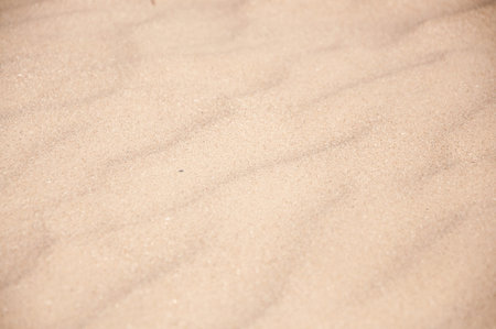 sand on the beach close upの写真素材