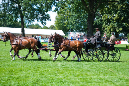 carriage drive show in strzegom at HSBC FEI World Cup 2009のeditorial素材
