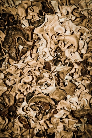 close up dry leaves for use as backgroundの写真素材