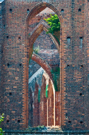 ruins of medieval castle on the hillの写真素材