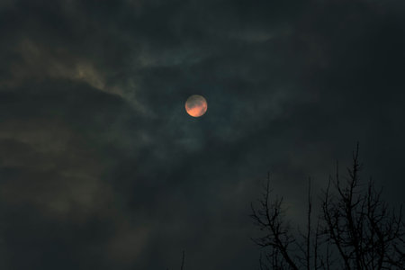 Midnight sky with full moon and some cloud